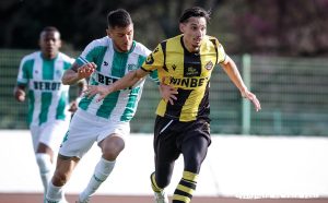 brahimi